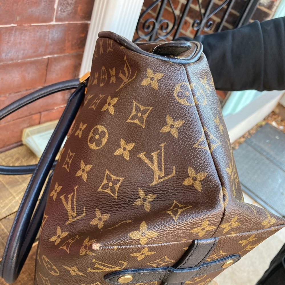 Louis Vuitton limited edition handbag - Picture 6 of 6